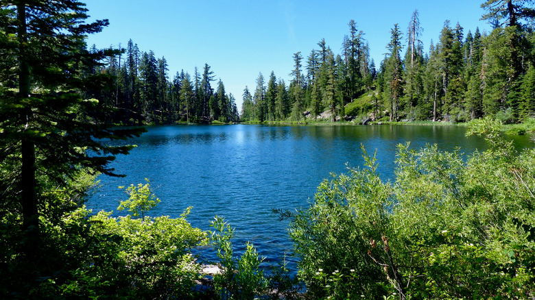 Plumas National Forest lake