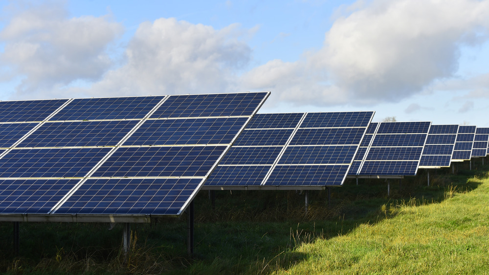 Solar array in a field