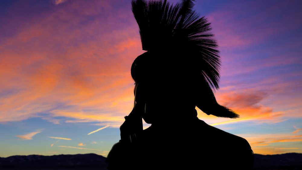 A representational image of a native American Indian tribe member