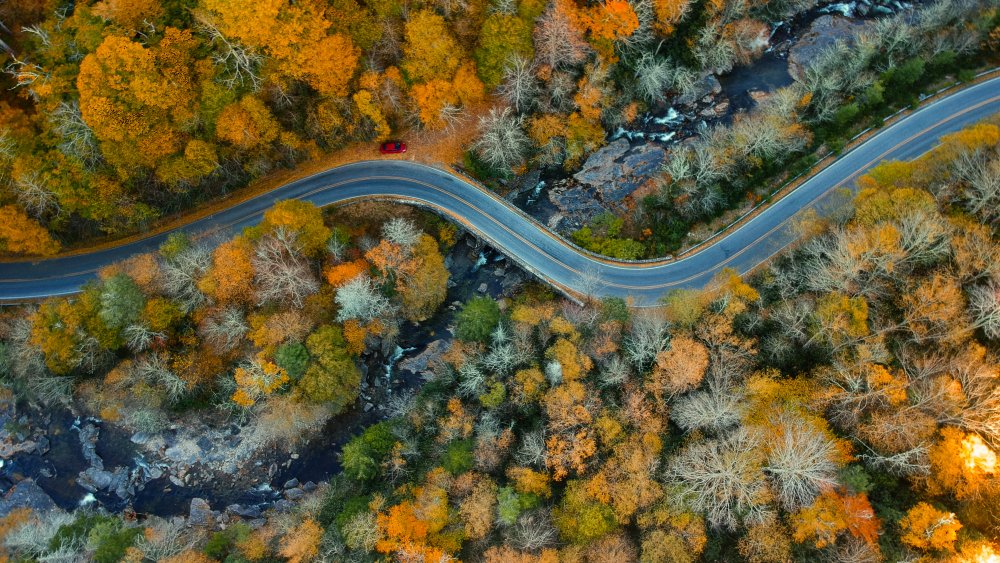 Road going through woods near Asheville, North Carolina