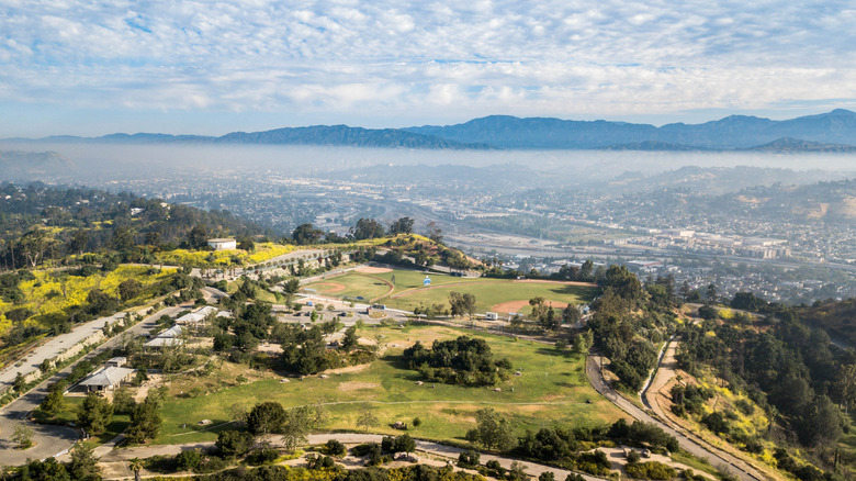 Elysian Park overlooking LA