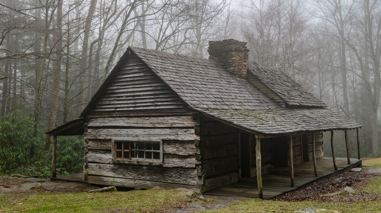 log cabin in the woods