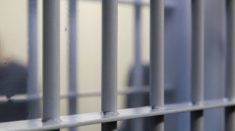 prison bars