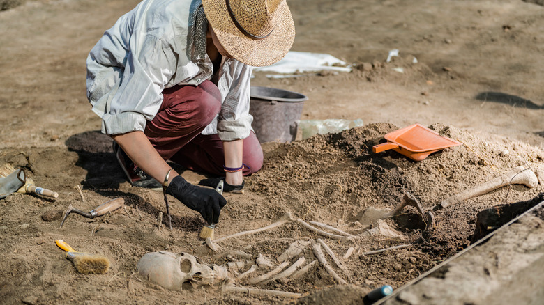 Archaeologist uncovering skeleton