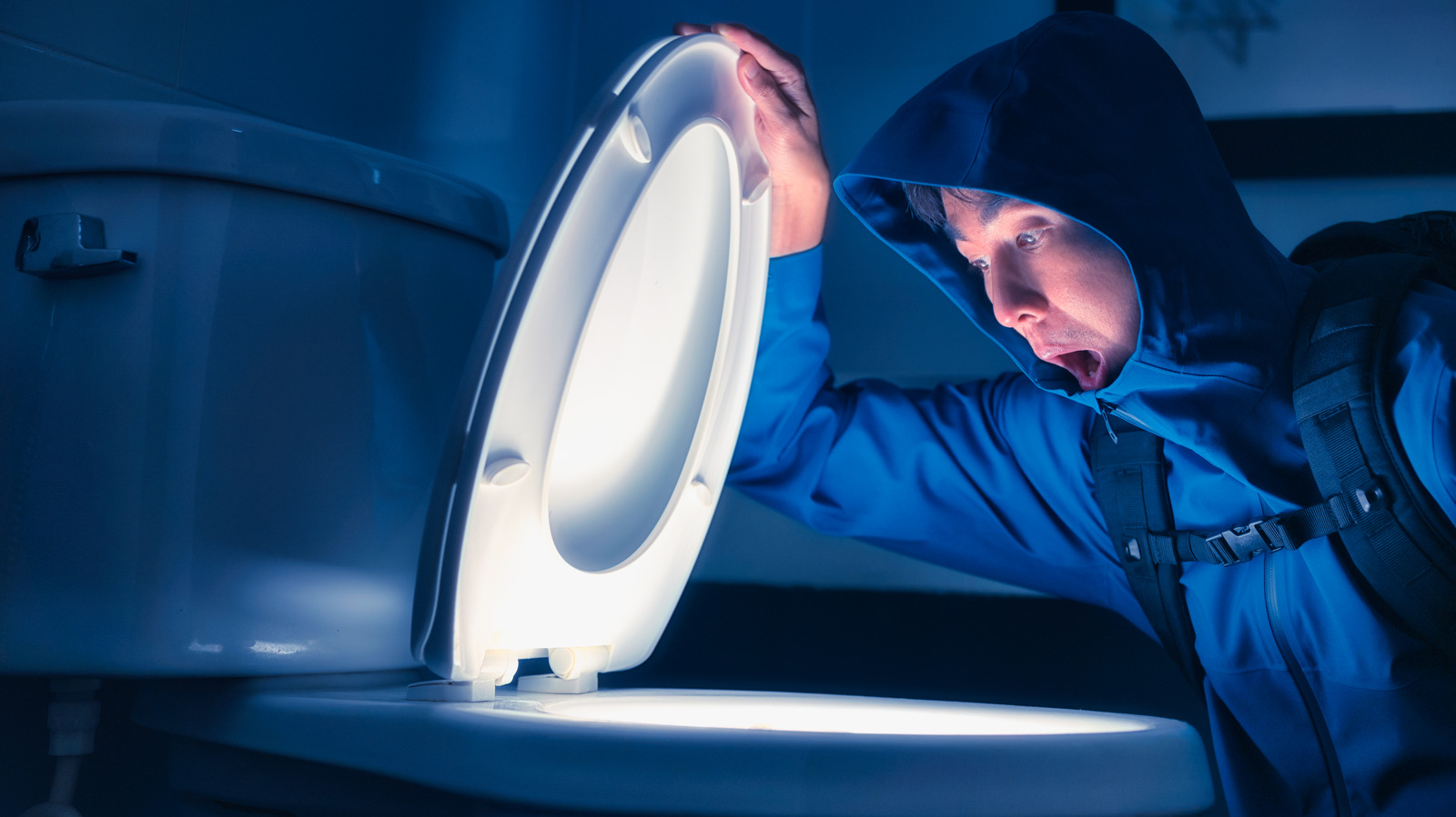 The Untold History Of Toilets