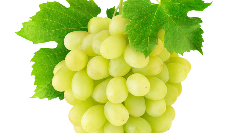 Table grapes