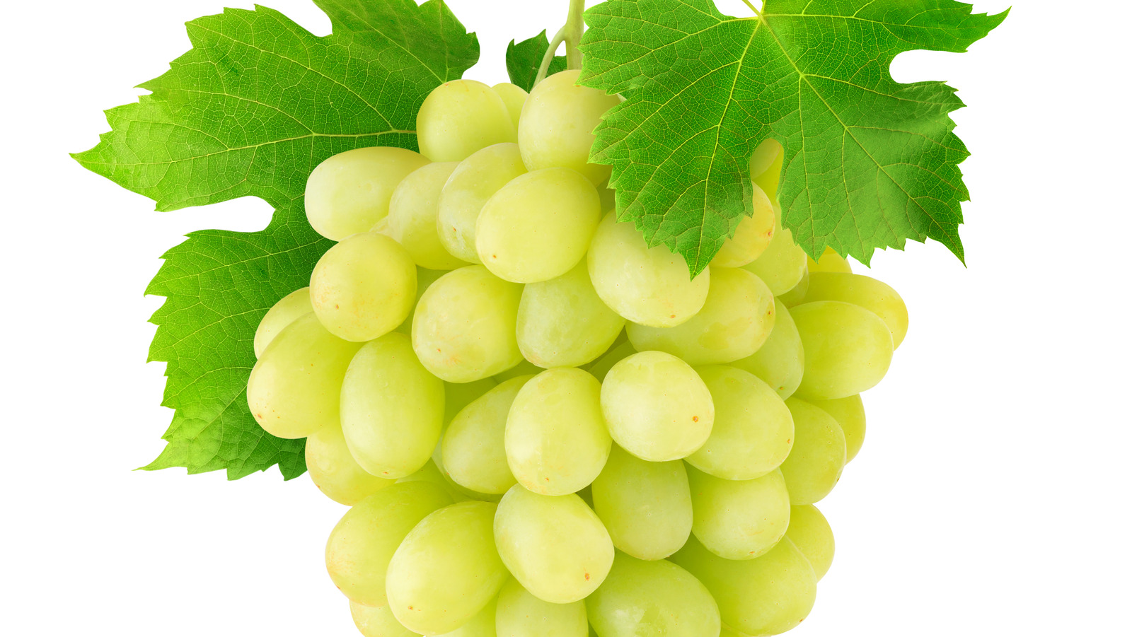 The Untold Story Of The Delano Grape Strike