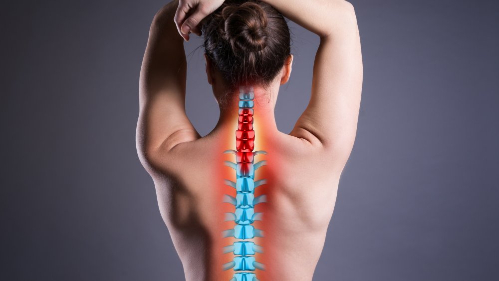 spine 