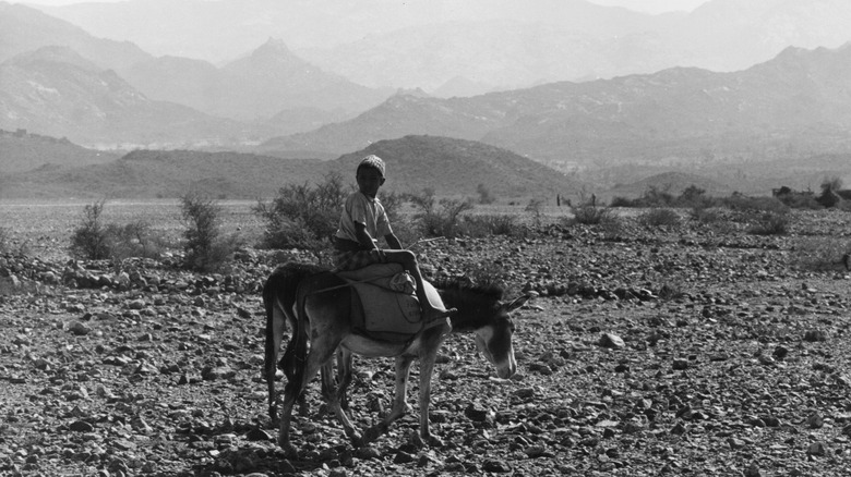 Yemen boy riding a donkey
