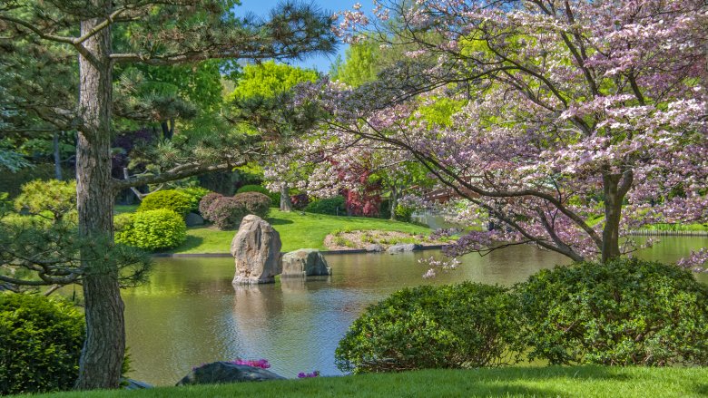 Idyllic view of garden and river with trees in bloom