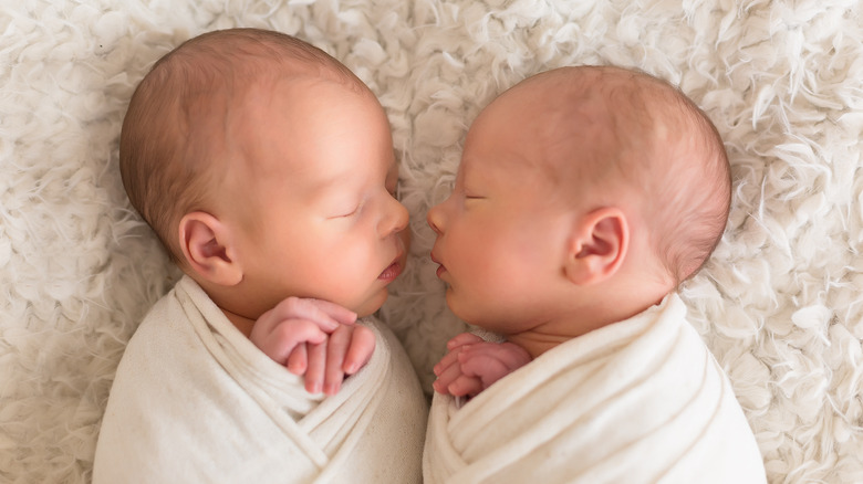 Two babies asleep next to each other wrapped in white cloth