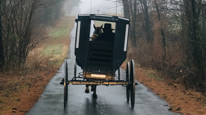 Amish buggy