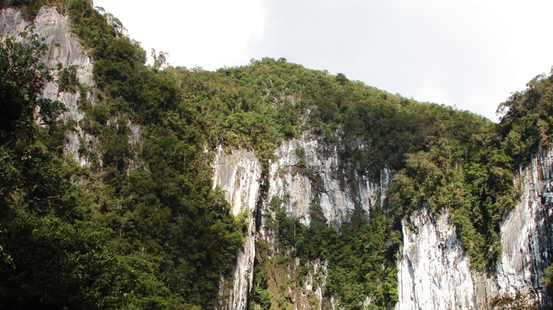 Mt. Mulu
