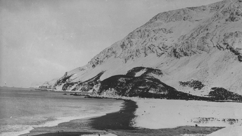 Elephant Island