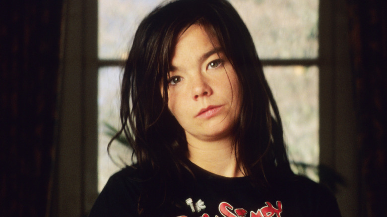 Bjork in a photoshoot from 1995