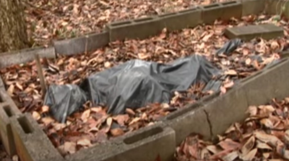 bag covered body surrounded by leaves