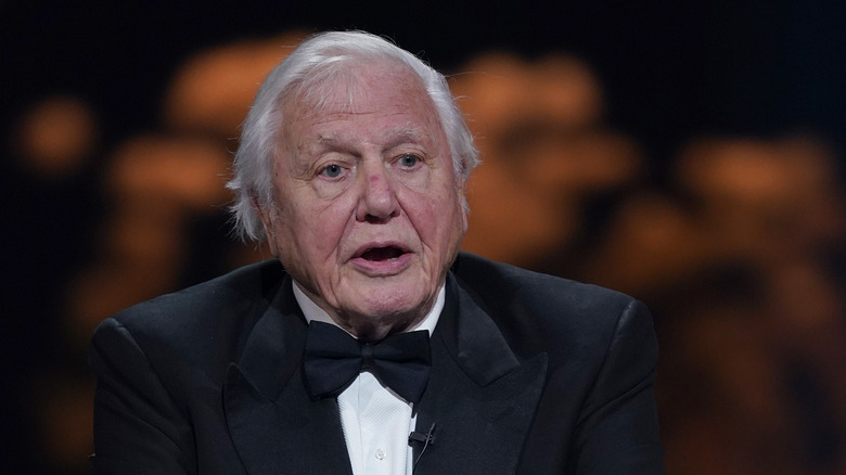 David Attenborough speaking at the Earthshot Prize Awards ceremony