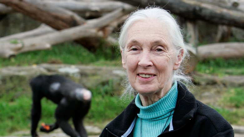 Jane Goodall smiling with chimpanzee in background