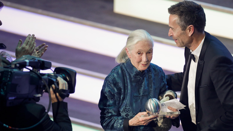 Jane Goodall receives an award