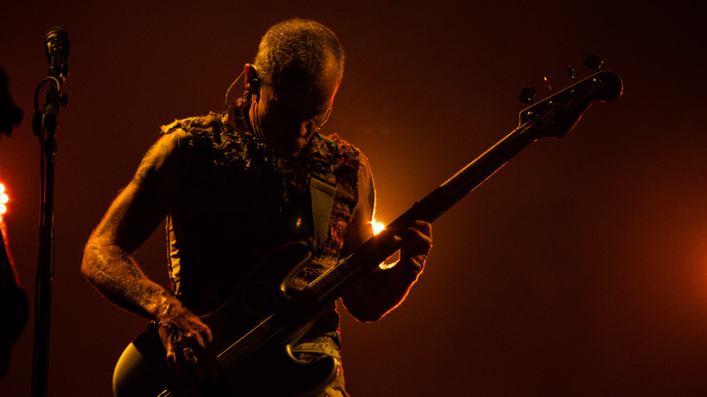 Flea Rock in Rio Festival