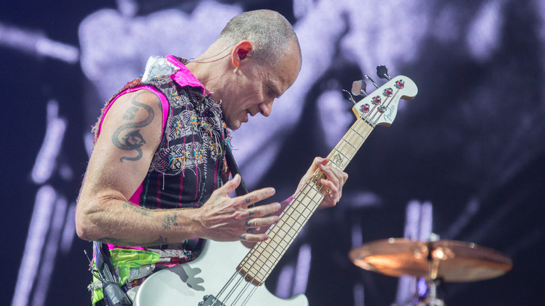 Flea performs at BottleRock 2016