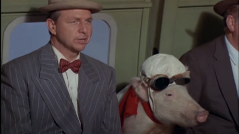 green acres arnold the pig on a plane