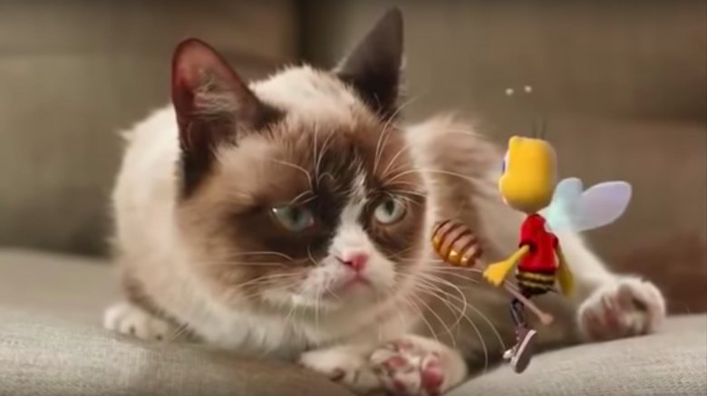 Grumpy Cat Cheerios commercial