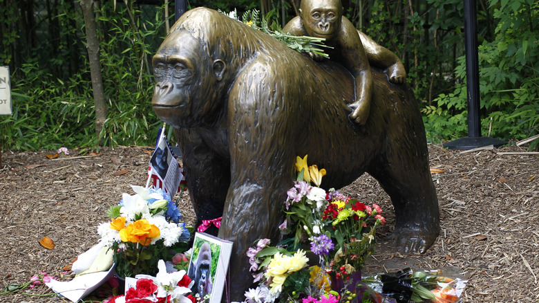 Cincinnati Zoo's Harambe statue