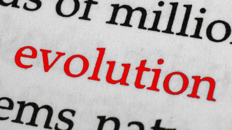 Evolution entry in the dictionary 