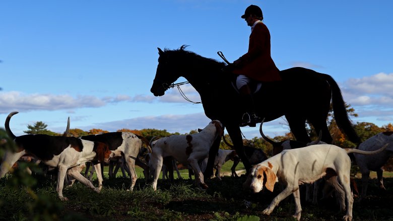 Foxhunt
