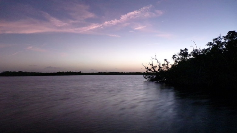 Sunset in Everglades National Park