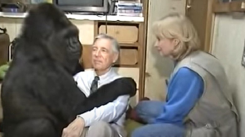 Koko, Mr. Rogers and Penny Patterson