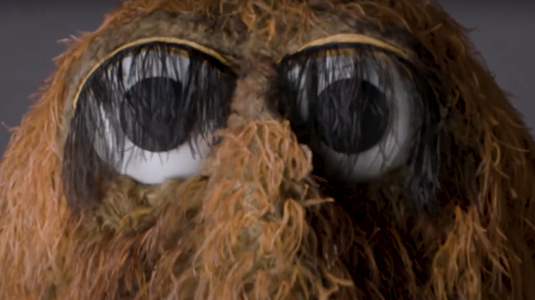 Snuffleupagus eyes nose