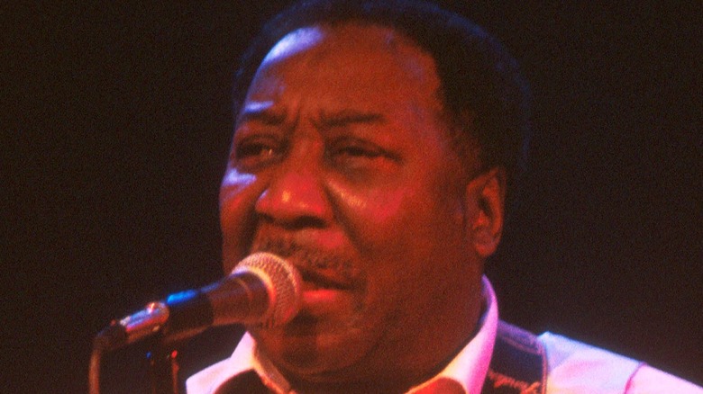 Muddy Waters performs circa 1977