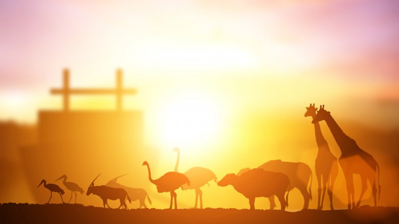Animals boarding the ark