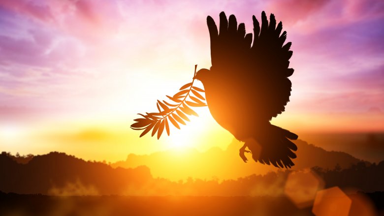 Dove with olive branch