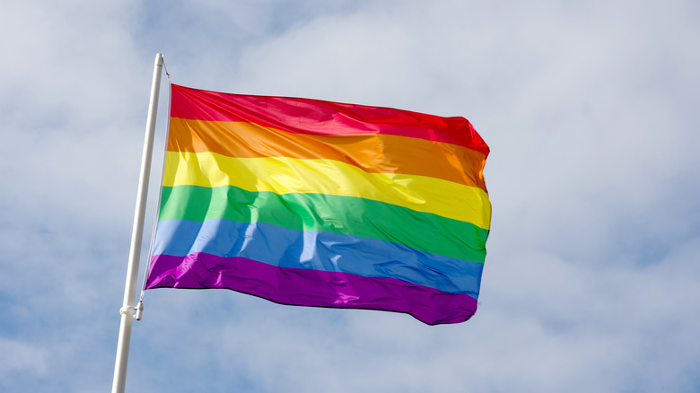 LGBTQ flag