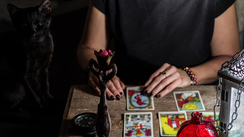 black cat and tarot cards