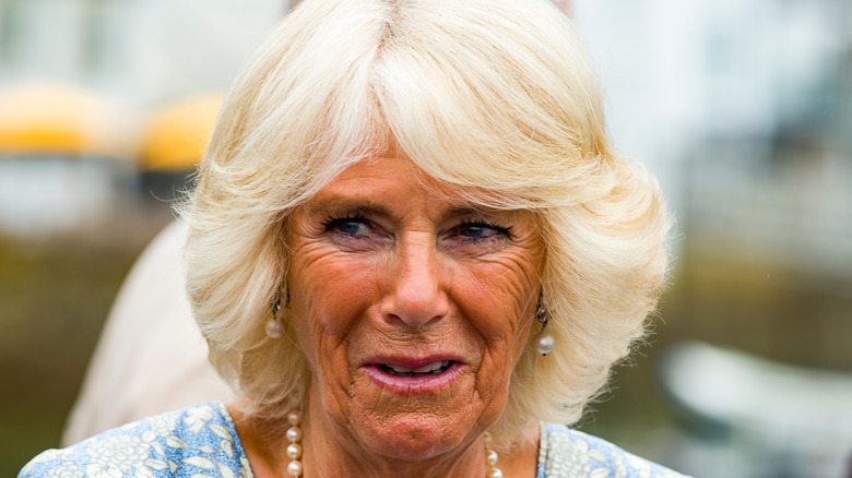 Camilla Parker Bowles in 2017