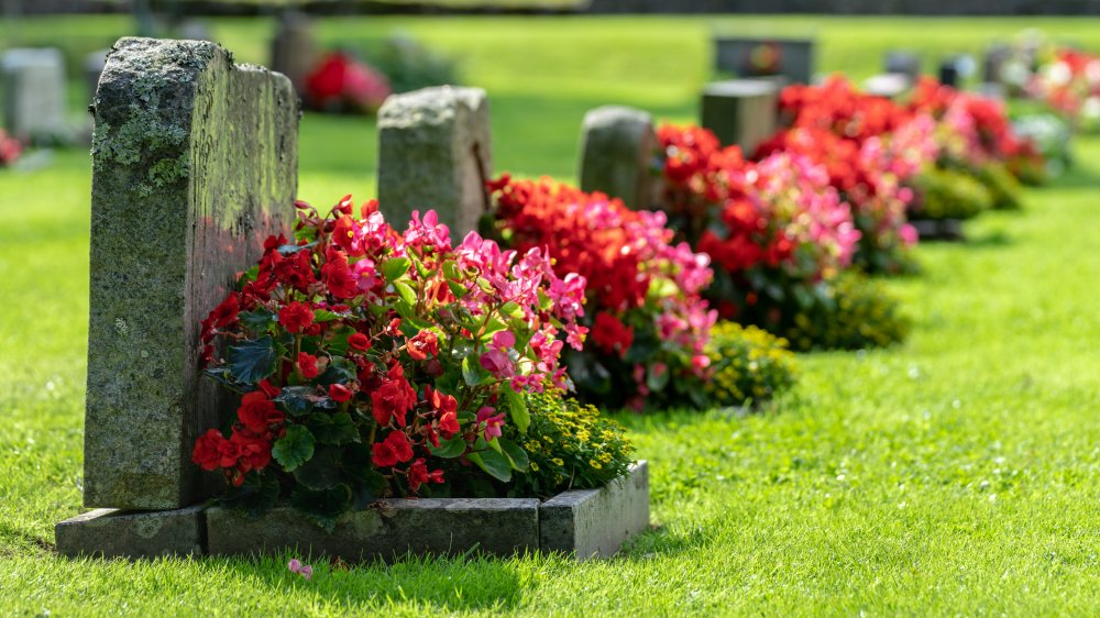 Cemetery