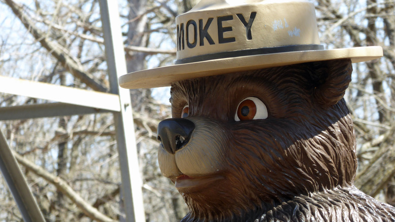 Close up of Smokey Bear statue