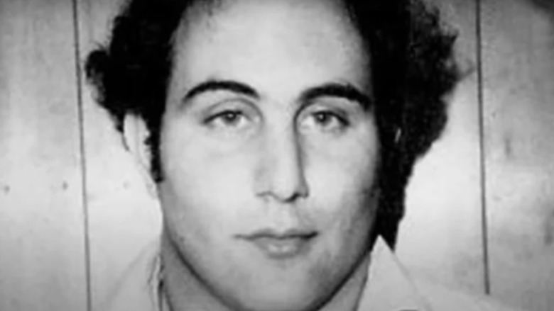 David Berkowitz