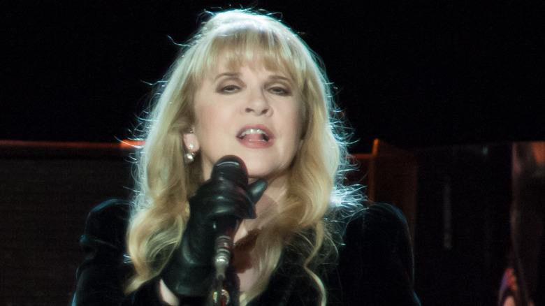 Stevie Nicks performing in 2013