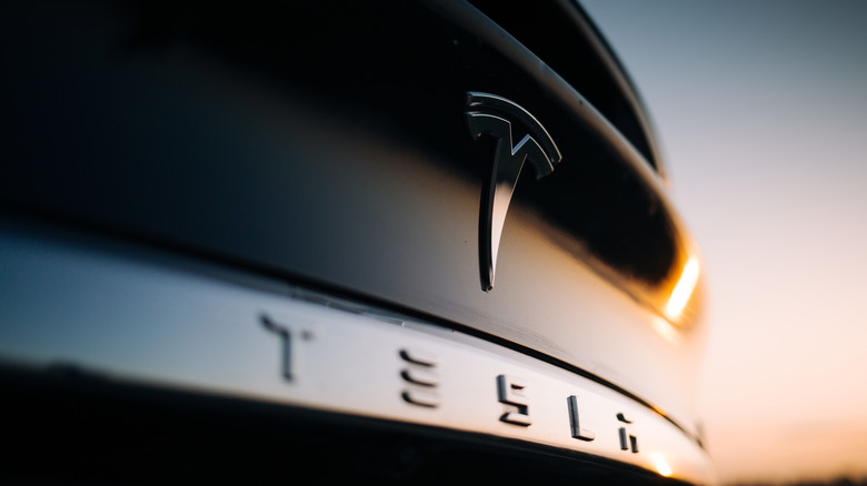 closeup of a Tesla bumper