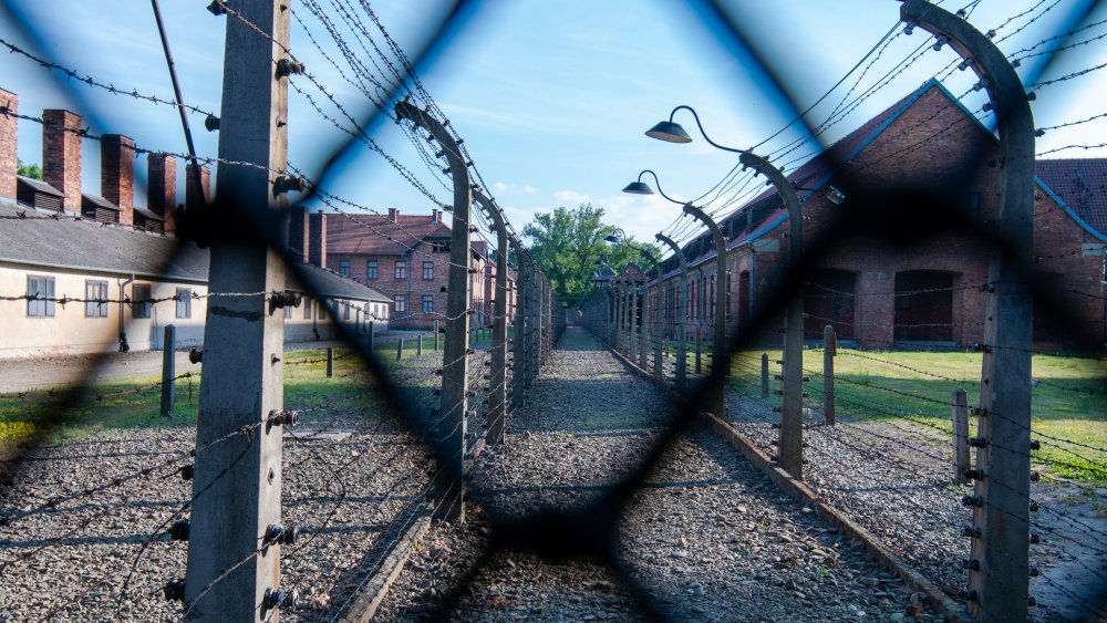 auschwitz