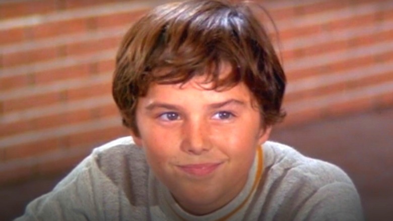 Christopher Knight in The Brady Bunch