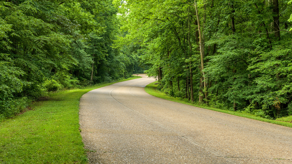 Colonial Parkway scenery, daylight