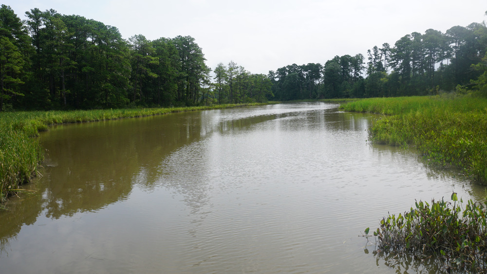 River next to Colonial Parkway