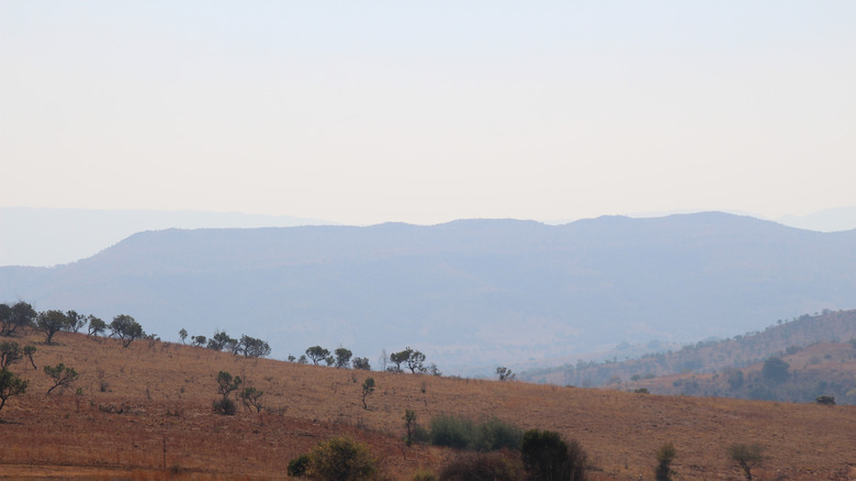 Landscape of Cradle of Humankind