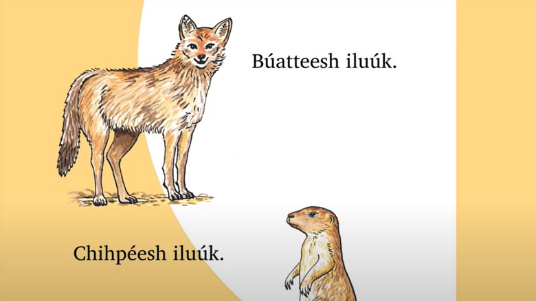 Crow language with animal illustrations